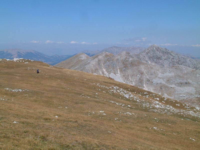 le mie prime foto ai camosci d''abruzzo